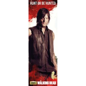 Plakát, Obraz - The Walking Dead - Daryl, (53 x 158 cm)