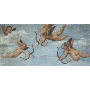 Obraz, Reprodukce - Rafael Santi - Triumf Galatei (část), Raffaello, (70 x 50 cm)