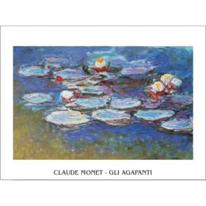 Obraz, Reprodukce - Lekníny pod Kalokvěty, Claude Monet, (30 x 24 cm)