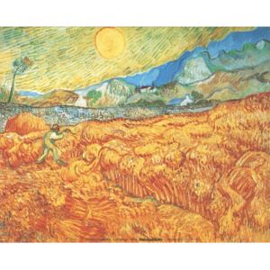 Obraz, Reprodukce - Obilné pole a žnec (sklizeň), 1889, Vincent van Gogh, (70 x 50 cm)