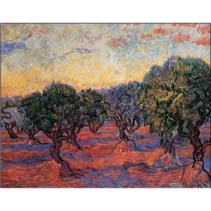 Obraz, Reprodukce - Olivovníkový sad: Oranžové nebe, 1889, Vincent van Gogh, (24 x 23 cm)