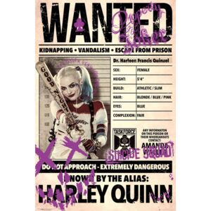 Plakát, Obraz - Sebevražedný oddíl - Harley Wanted, (61 x 91,5 cm)