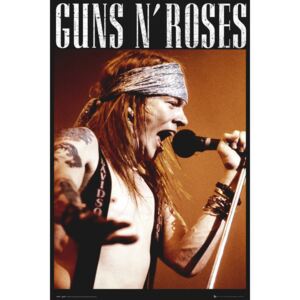 Plakát, Obraz - Guns'N'Roses - Axel, (61 x 91,5 cm)
