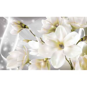 Fototapeta, Tapeta Bílé květiny, (104 x 70.5 cm)