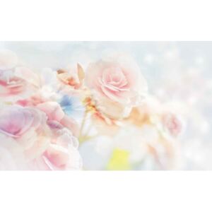 Fototapeta, Tapeta Květy, růže, pastelové barvy, (368 x 254 cm)