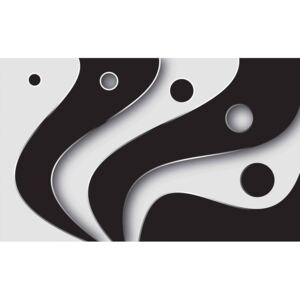Fototapeta, Tapeta Abstraktní umění - černobílá, (152.5 x 104 cm)