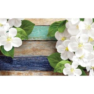Fototapeta, Tapeta Květiny na dřevěném plotu, (104 x 70.5 cm)