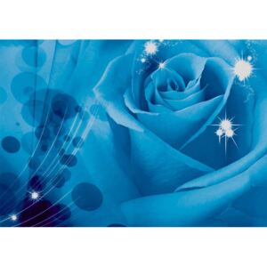 Fototapeta, Tapeta Květiny - růže, (104 x 70.5 cm)