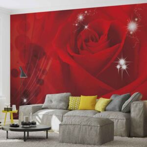 Fototapeta, Tapeta Květiny, červená růže, (152.5 x 104 cm)