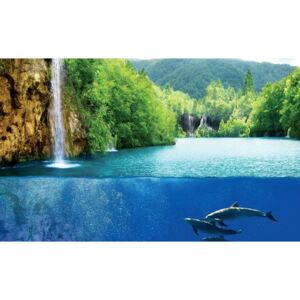 Fototapeta, Tapeta Příroda, vodopád, moře, delfíni, (104 x 70.5 cm)