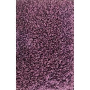 Moderní kusový koberec Color Shaggy | fialový Typ: 50x80 cm