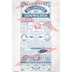 Plakát, Obraz - Harry Potter - Quidditch At Hogwarts, (61 x 91,5 cm)