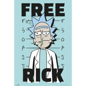 Plakát, Obraz - Rick And Morty - Free Rick, (61 x 91,5 cm)