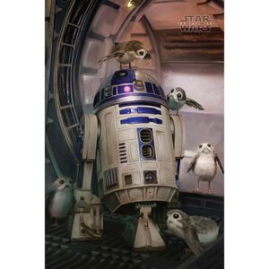 Plakát, Obraz - Star Wars: Poslední z Jediů - R2-D2 & Porgs, (61 x 91,5 cm)