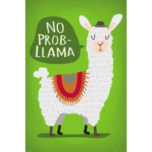 Plakát, Obraz - Lama - No Probllama, (61 x 91,5 cm)
