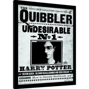 Obraz na zeď - Harry Potter - The Quibbler