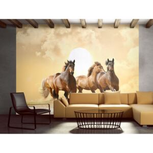 Tapeta koně v klusu (150x116 cm) - Murando DeLuxe