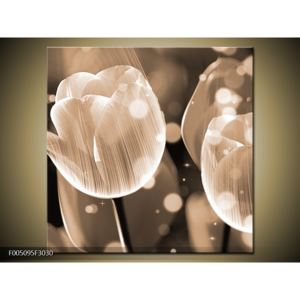 Černobílý krásný obraz tulipánů (30x30 cm)