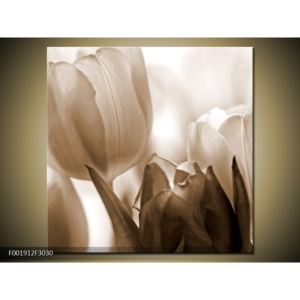 Krásný černobílý obraz tulipánů (30x30 cm)