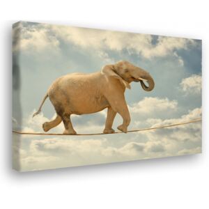 Obraz na plátně - tančící slon (60x60 cm) - InSmile ®