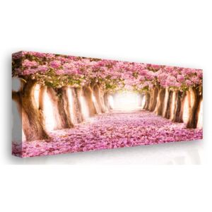 Obraz na plátně - kvetoucí stromy (120x80 cm) - InSmile ®
