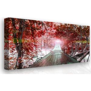 Obraz na zeď - červený ráj (90x60 cm) - InSmile ®