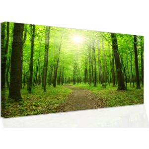 Obraz - procházka po lese (60x40 cm) - InSmile ®