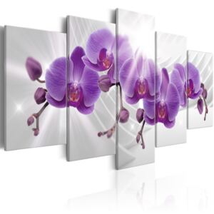 Pětidílné obrazy - fialová orchidej (100x50 cm) - Murando DeLuxe