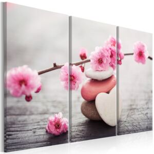 Třídílné obrazy - růžové květy (90x60 cm) - Murando DeLuxe