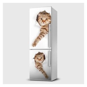 Fototapeta samolepící na lednice - Kočky