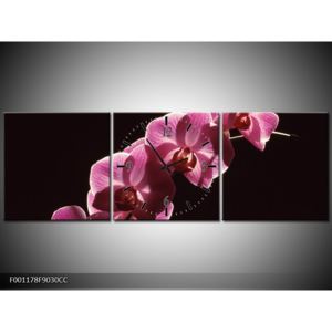 Obraz růžových orchidejí (F001178F9030CC)