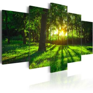 Pětidílné obrazy - ráno v lese (100x50 cm) - Murando DeLuxe