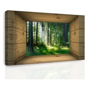 Obraz - Okno do lesa (60x40 cm) - InSmile ®