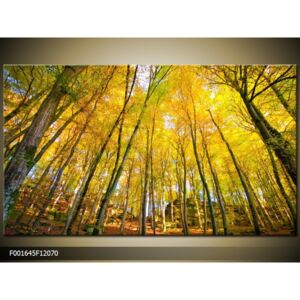 Obraz na plátně Podzimní les, Tvar obrazu a rozměr Obdélník 120x70cm 2130 Kč