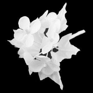 Umělé květy na drátku zasněžené barva 1 bílá, 12 ks