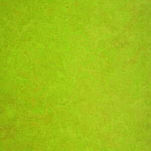 Tilo Coloro lino LIME