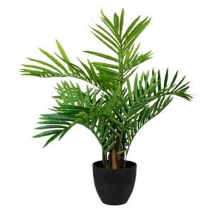 Okrasná palma v květináči - Ø18*Ø50*73cm