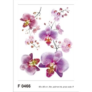AG Design F0466 Samolepicí dekorace BLOSSOM PINK 65 x 85 cm