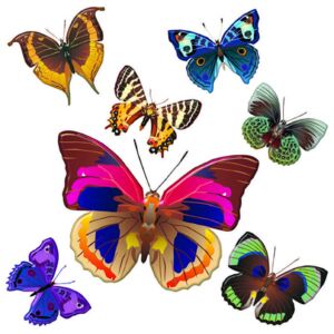 AG Design SS3854 Samolepicí dekorace Motýli, 30 x 30 cm
