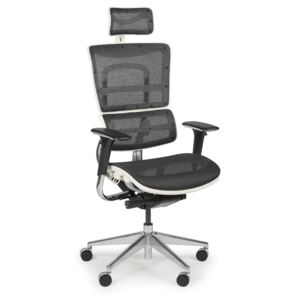 Multifunkční kancelářská židle WINSTON WHITE SAA, černá/bílá