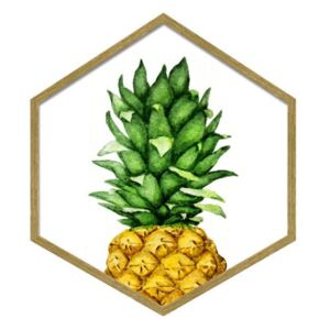 Obraz Hexagon Ananas 35 x 40 cm