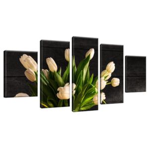 Obraz na plátně Krémové tulipány 150x70cm 1392A_5B