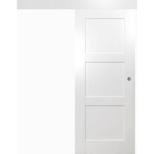Posuvné dveře na stěnu Vasco Doors ARVIK plné, model 1