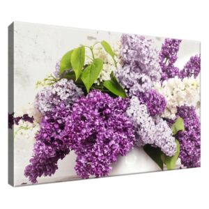 Obraz na plátně Šeřík ve váze 30x20cm 2224A_1T