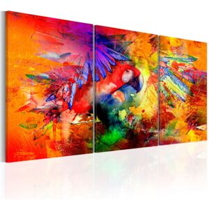 Obraz - Colourful Parrot 120x60