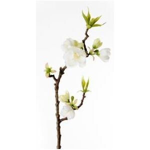 Animadecor Umělá květina - Jabloňová větvička bílá 40cm