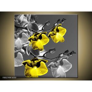 Obraz tří žlutých květů (F002749F3030)