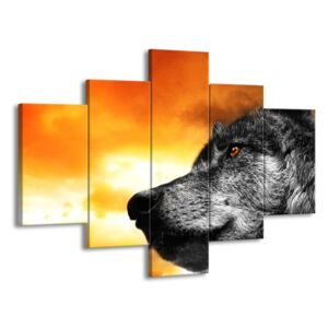 Vícedílný obraz Moudrý pohled vlka 100x70 cm