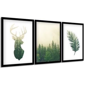 Gario Obraz v rámu Divoká příroda Rozměry (š x v): 99 x 45 cm, Barva rámu: Bílá
