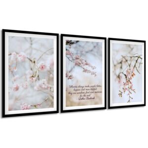 Gario Obraz v rámu Kvetoucí višeň Rozměry (š x v): 135 x 63 cm, Barva rámu: Bílá